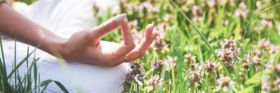 Méditation guidée et reconnexion à la nature